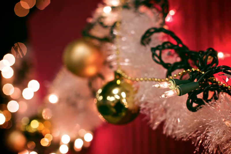 Illustration for article titled Photo Contest: Christmas Lights